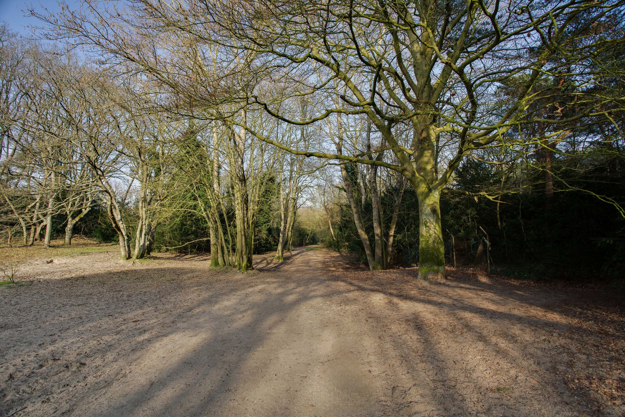 Foto 66 van Hogeweg 4