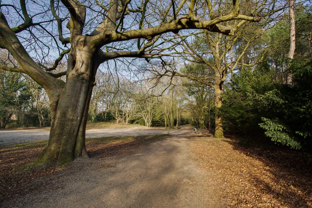 Foto 67 van Hogeweg 4