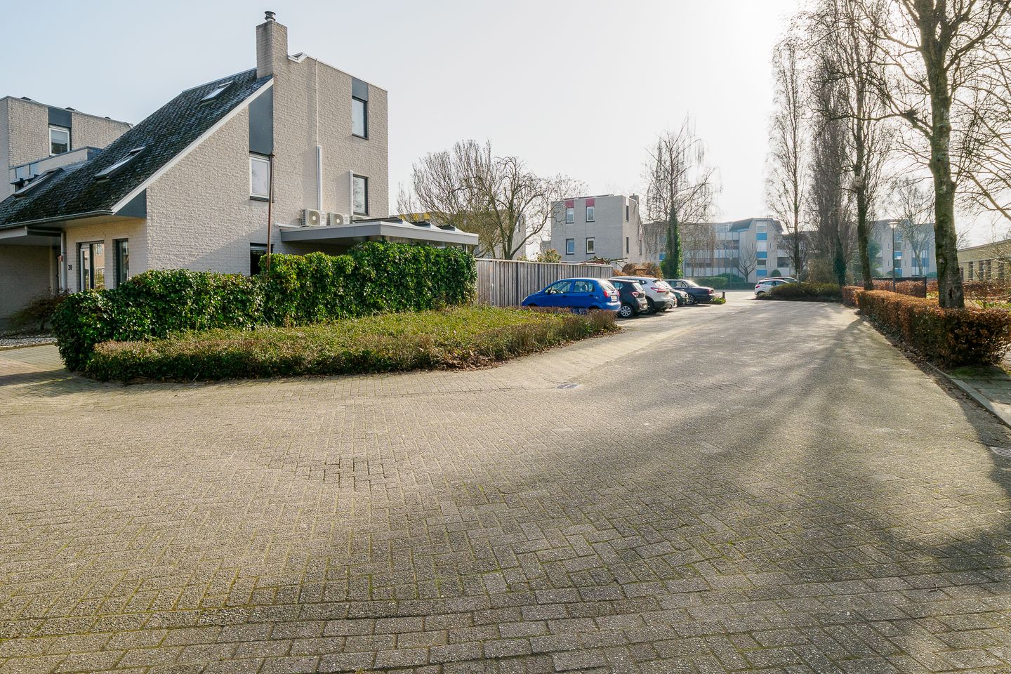 Foto 44 van Boekweit 30