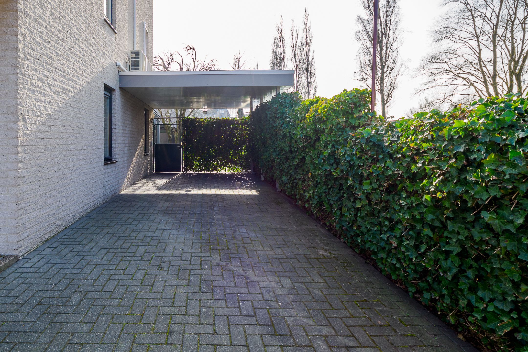 Foto 45 van Boekweit 30