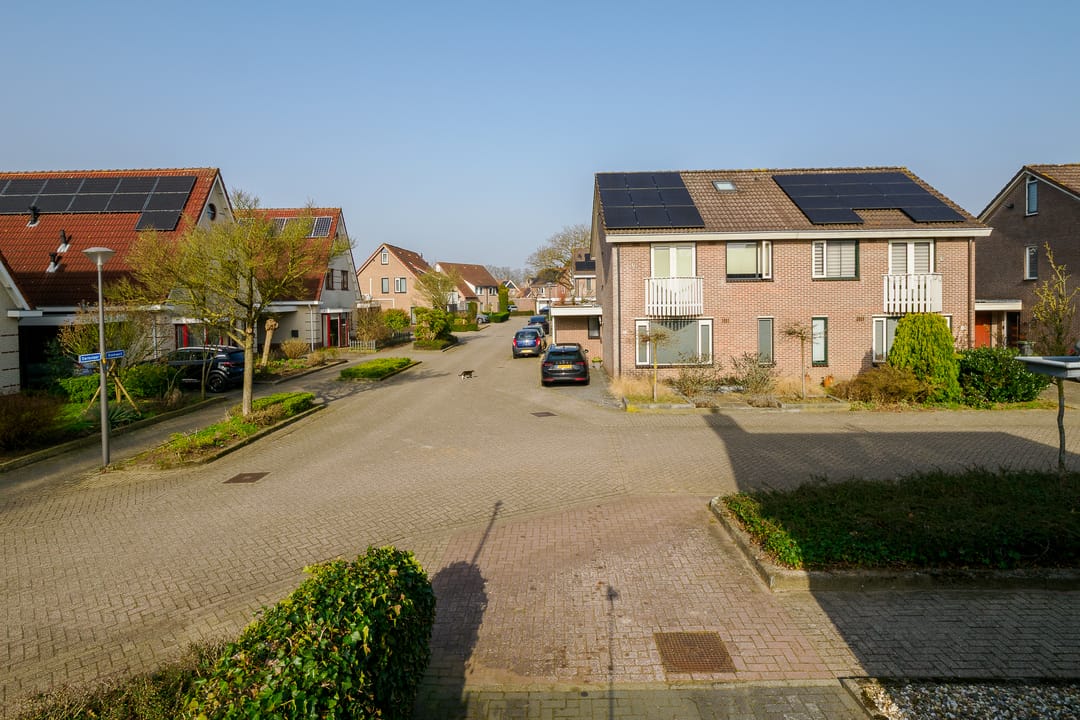 Foto 43 van Boekweit 30