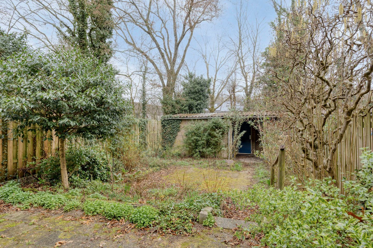 Foto 25 van Geleijnsestraat 44