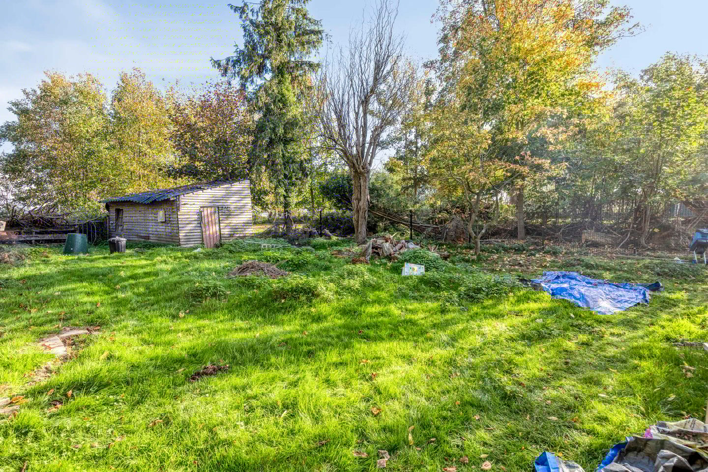 Photo 40 of Grensstraat 1