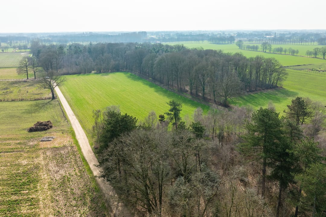 Foto 61 van Varsselseweg 16