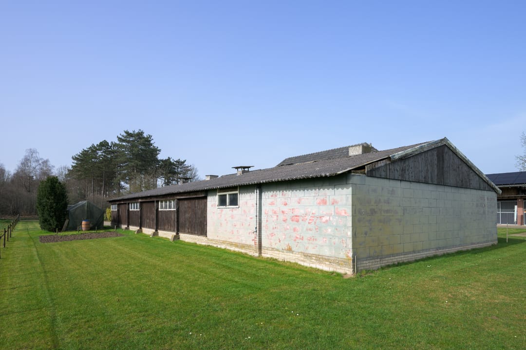 Foto 53 van Varsselseweg 16