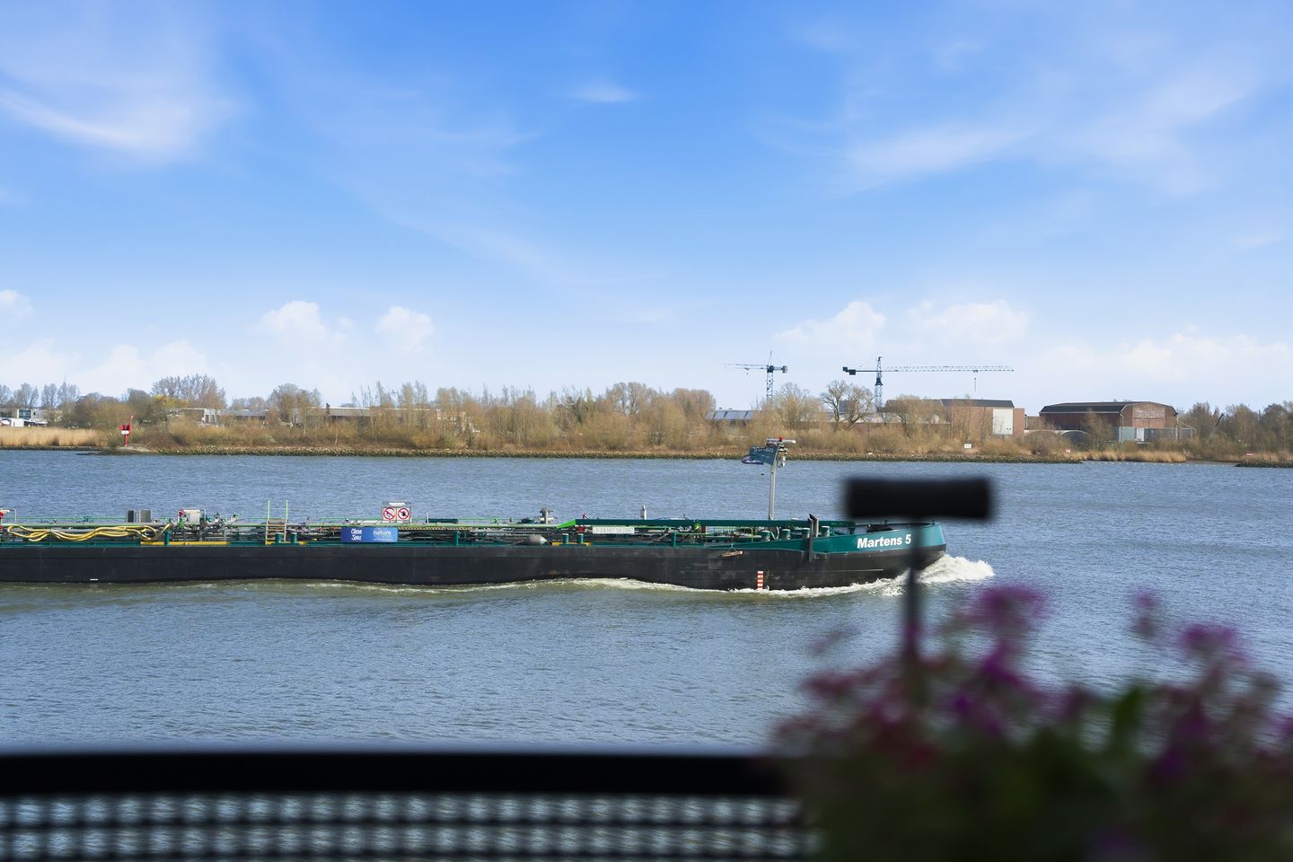 Photo 10 of Dokhof 15