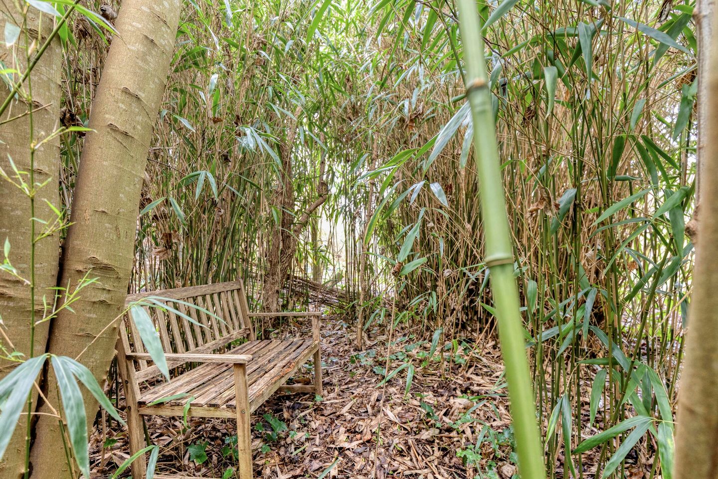 Foto 44 van Binckhorst 67