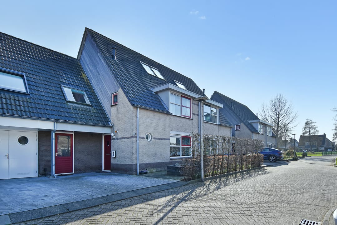 Foto 41 van Zeedistel 8