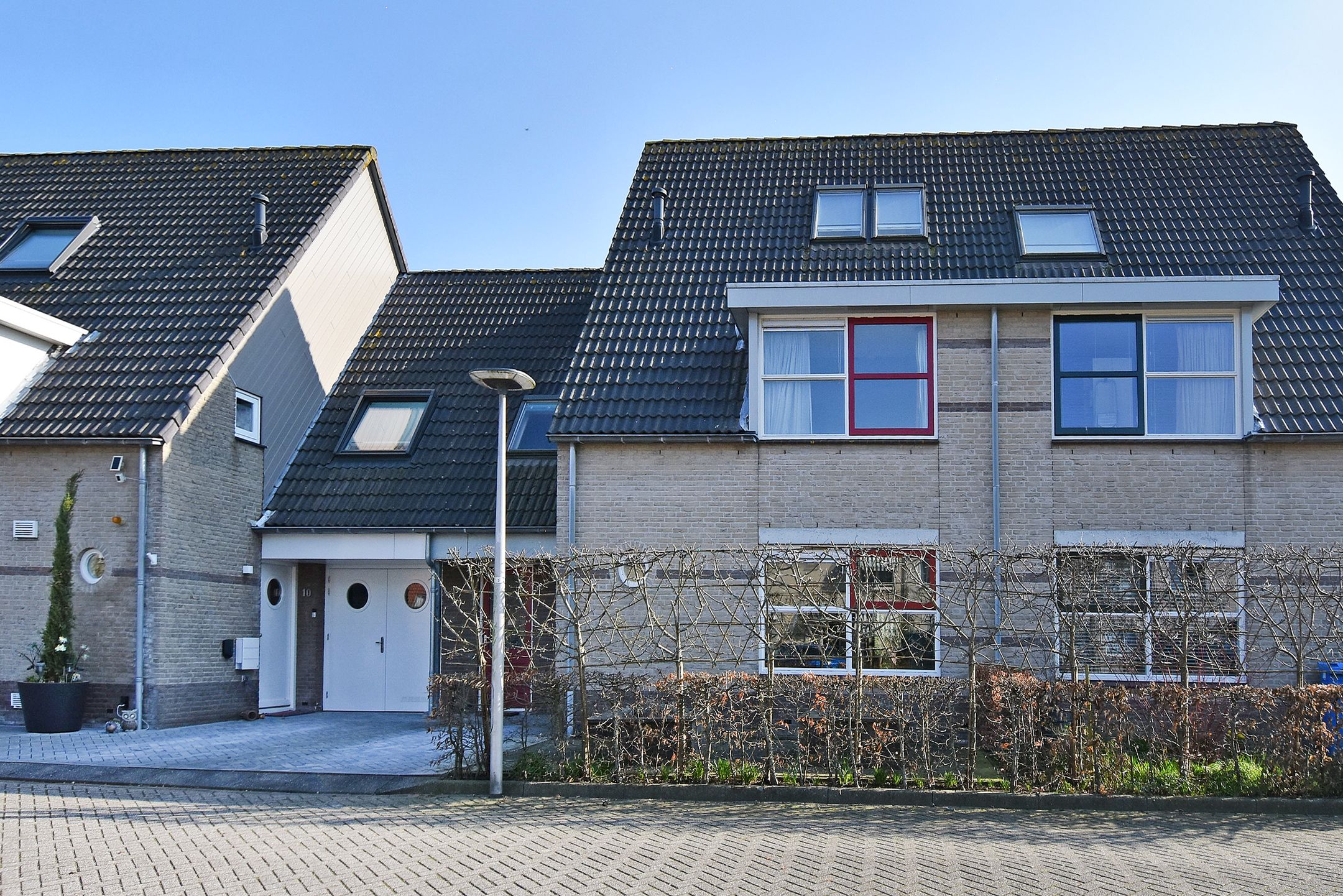 Foto 42 van Zeedistel 8