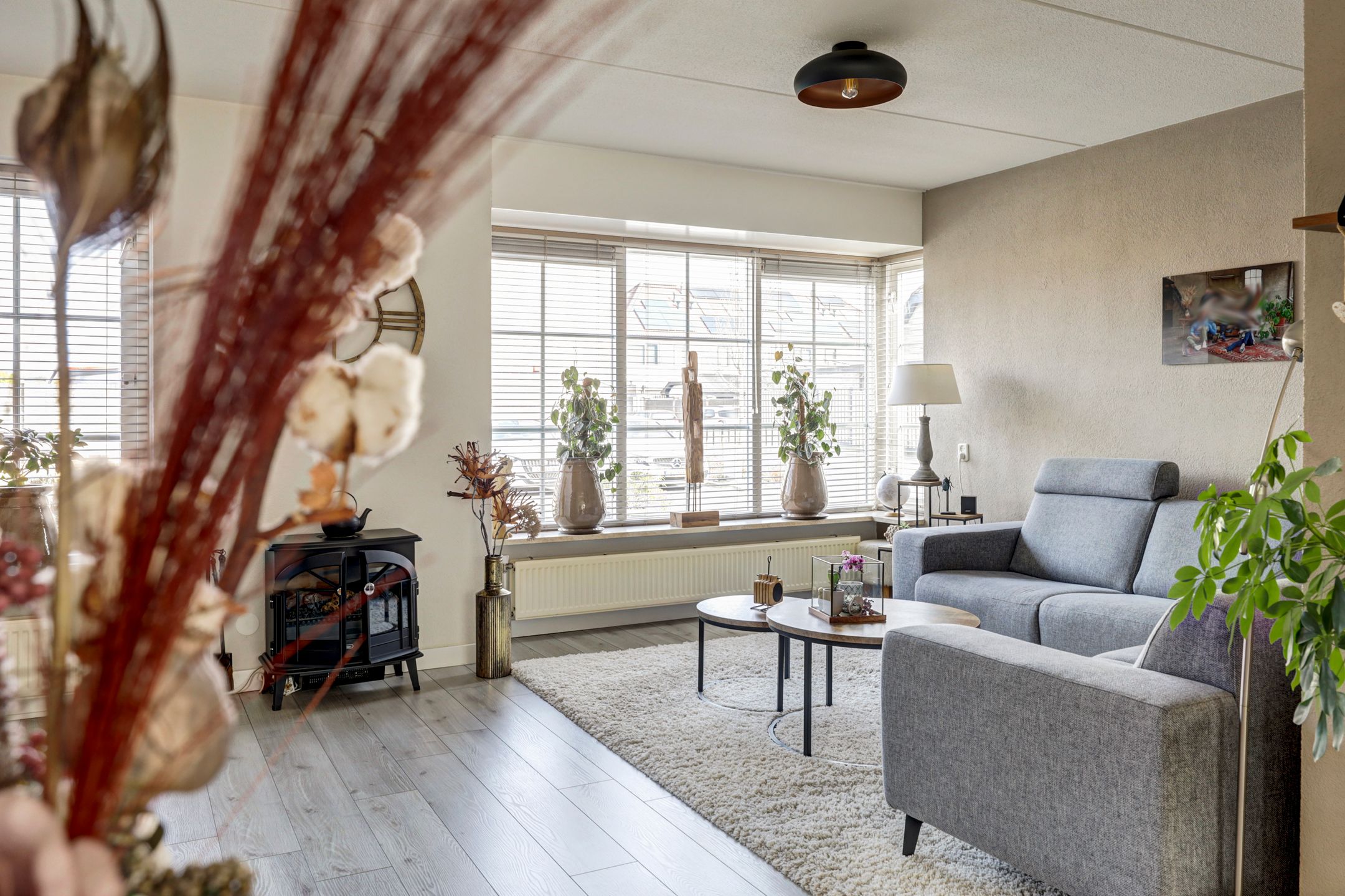 Foto 6 van Duifkruid 53