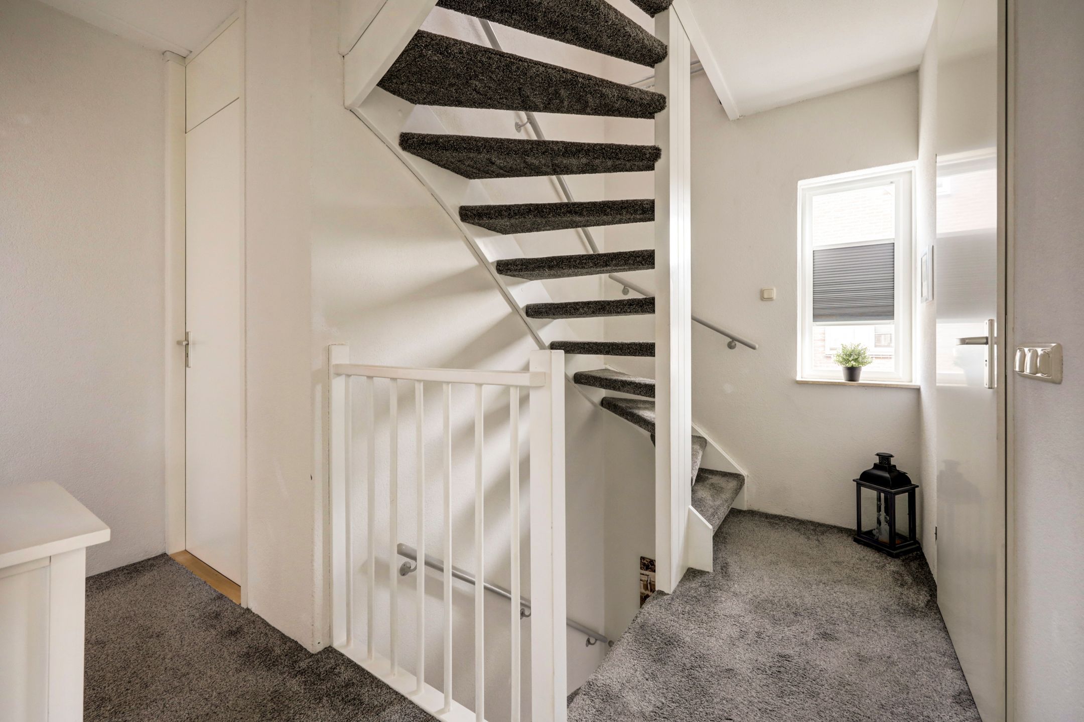 Foto 24 van Duifkruid 53