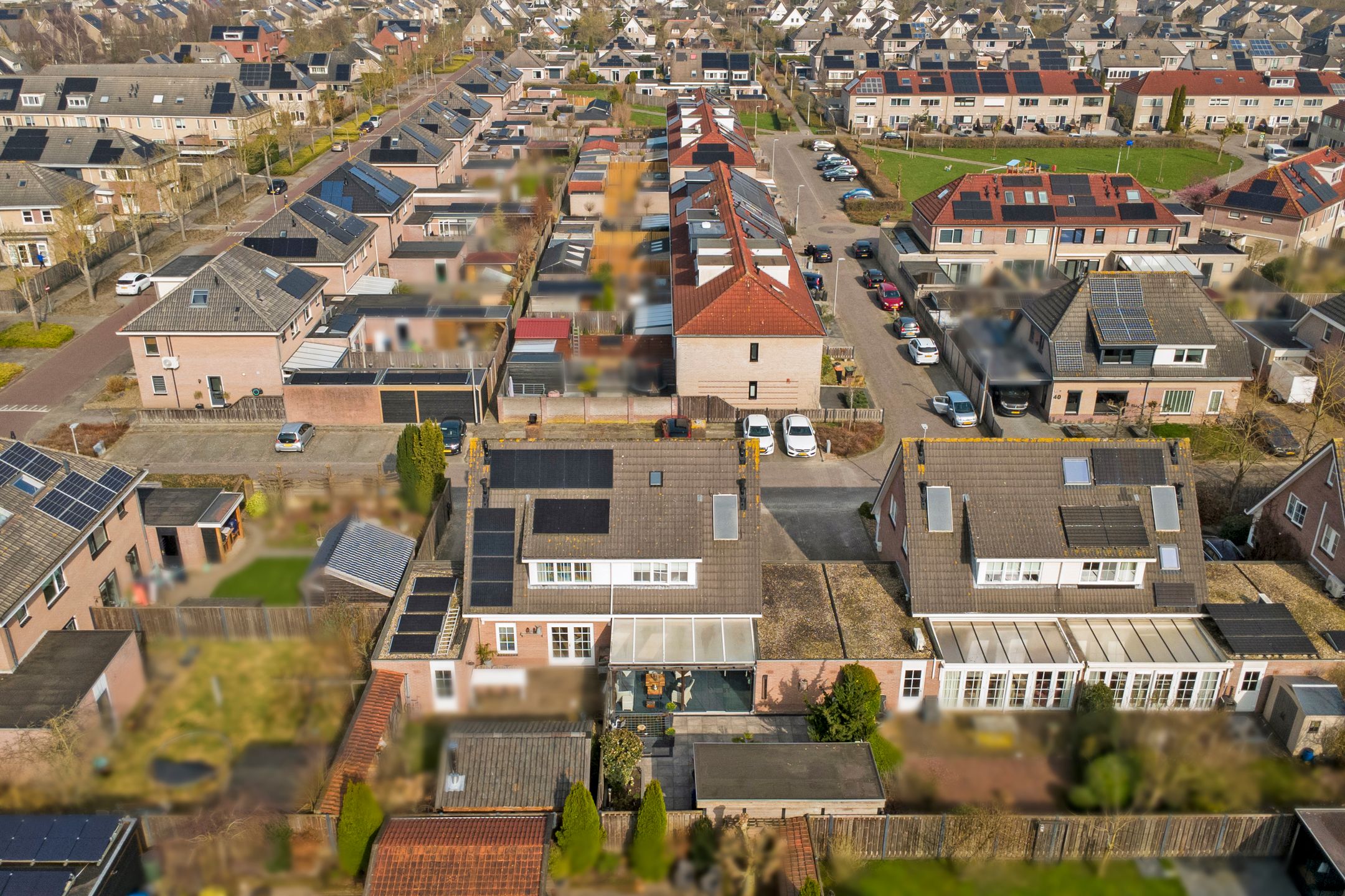 Foto 39 van Duifkruid 53