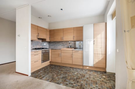 Zwaanswal 197 tertiary image