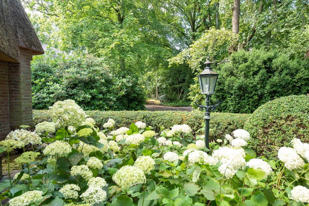 Foto 67 van Meerwijklaan 5