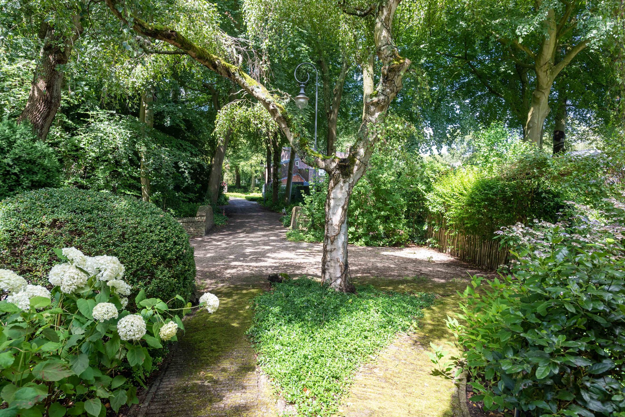 Foto 69 van Meerwijklaan 5