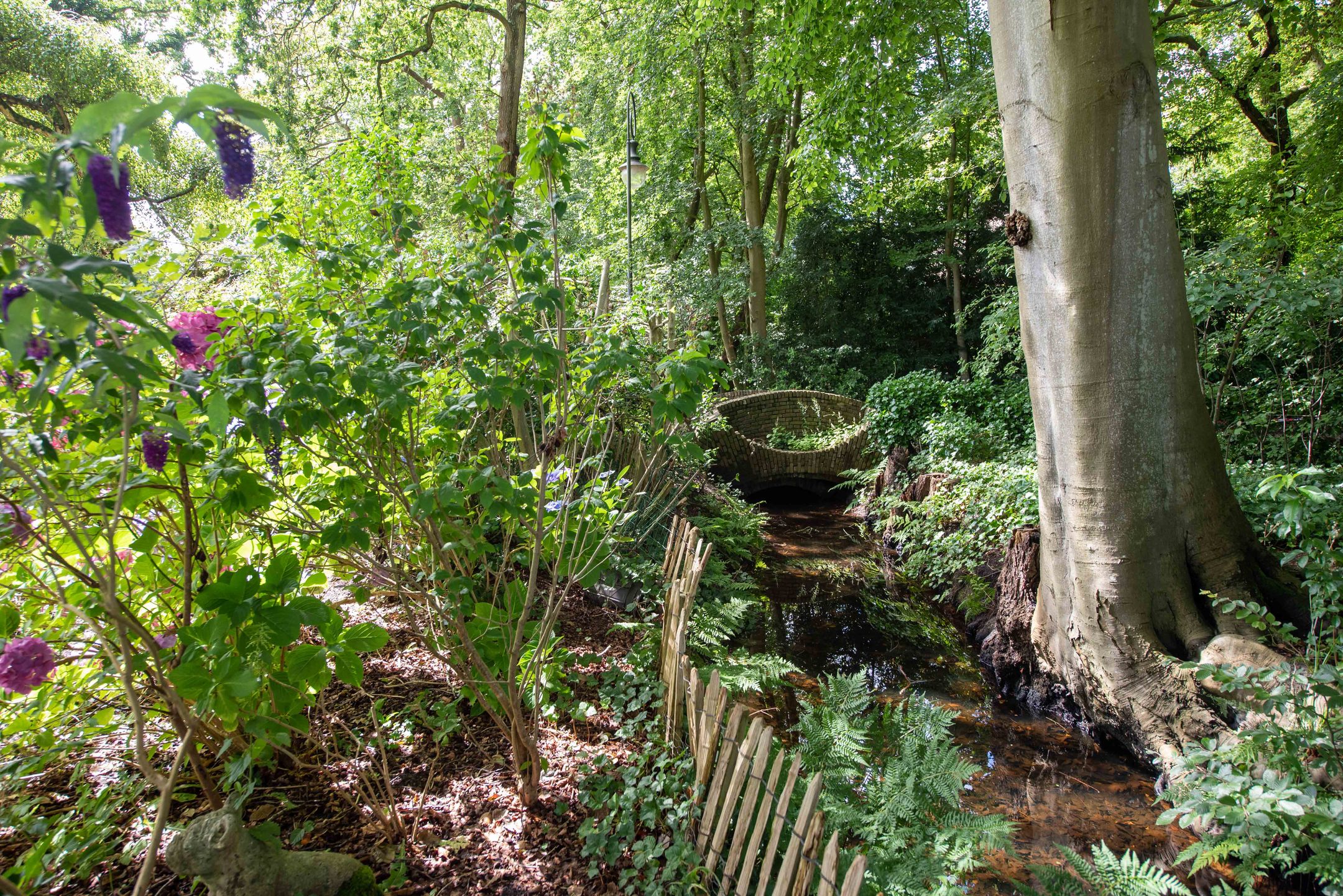 Foto 63 van Meerwijklaan 5