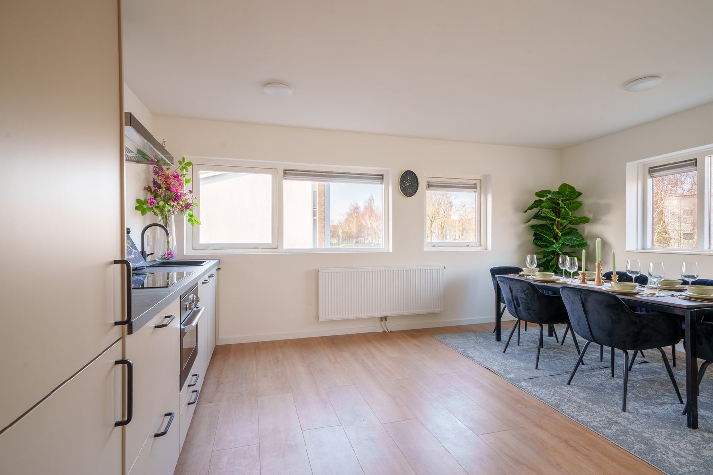 Foto 10 van Mintplantsoen 60