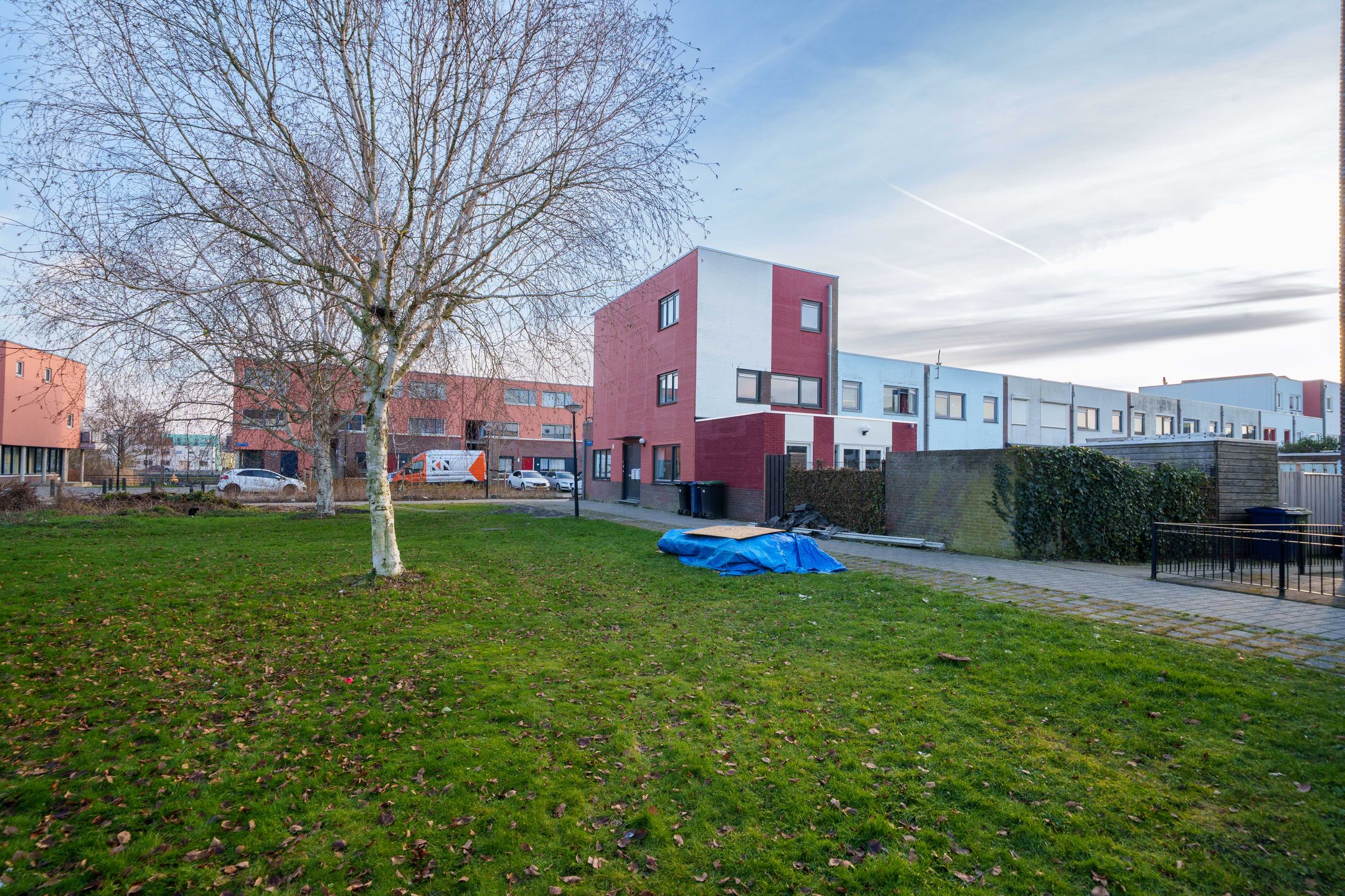 Foto 24 van Mintplantsoen 60