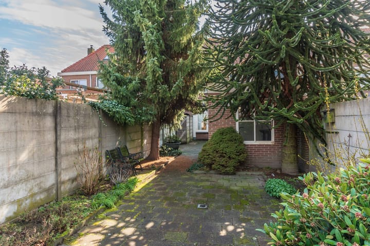 Photo 4 of Van Alphenstraat 9