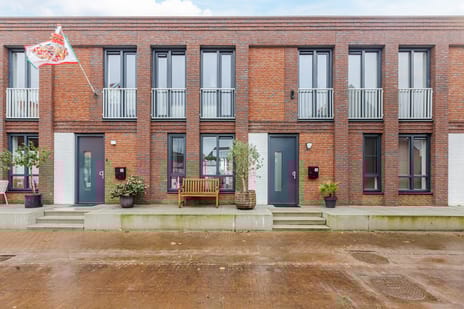 undefined main image