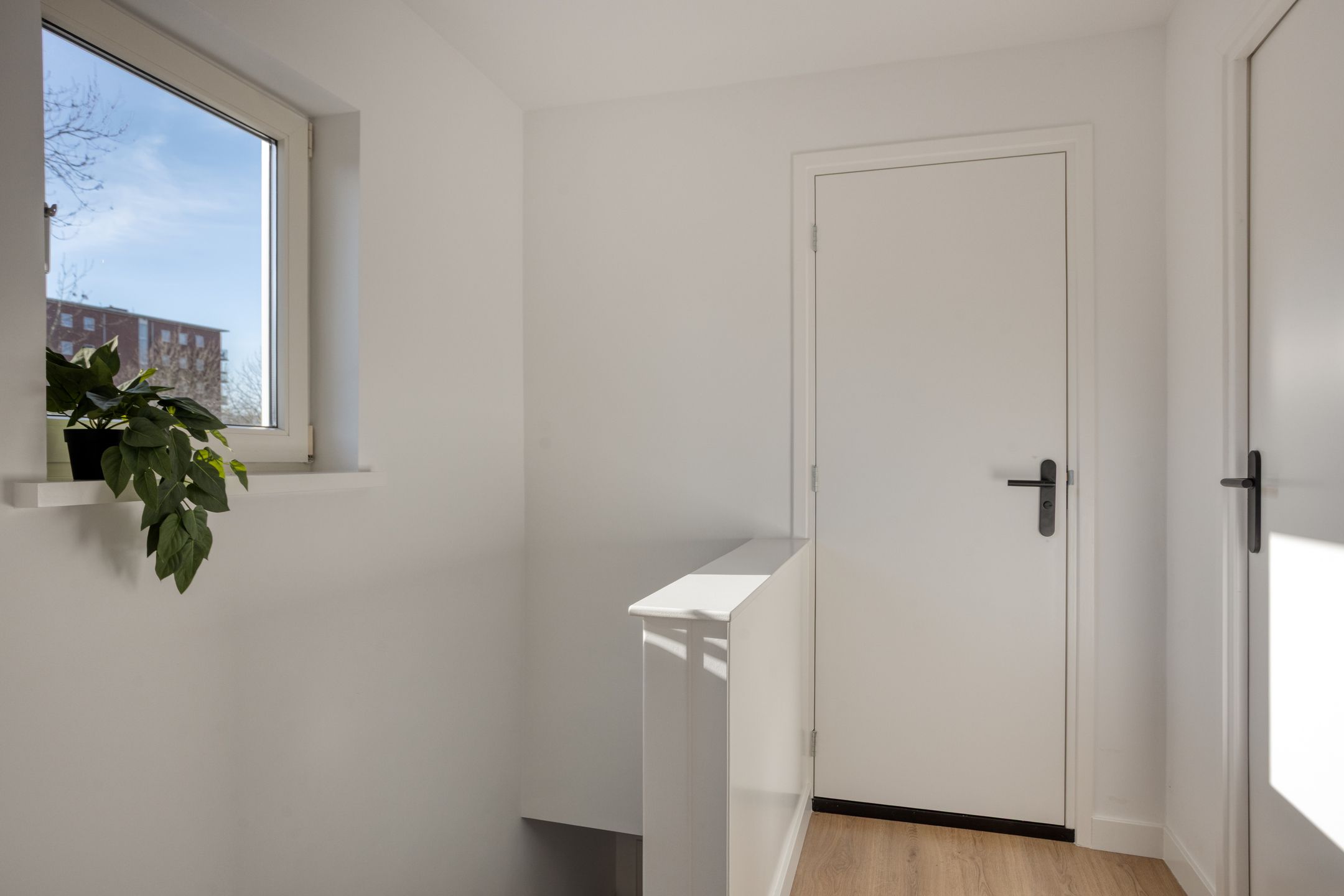 Foto 21 van Wabenstraat 1