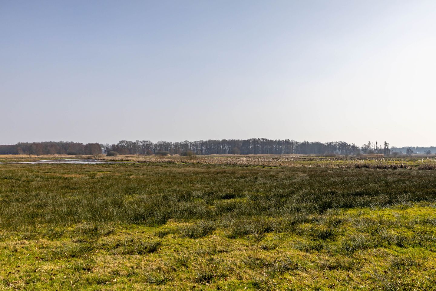 Foto 64 van Hoofdweg 206