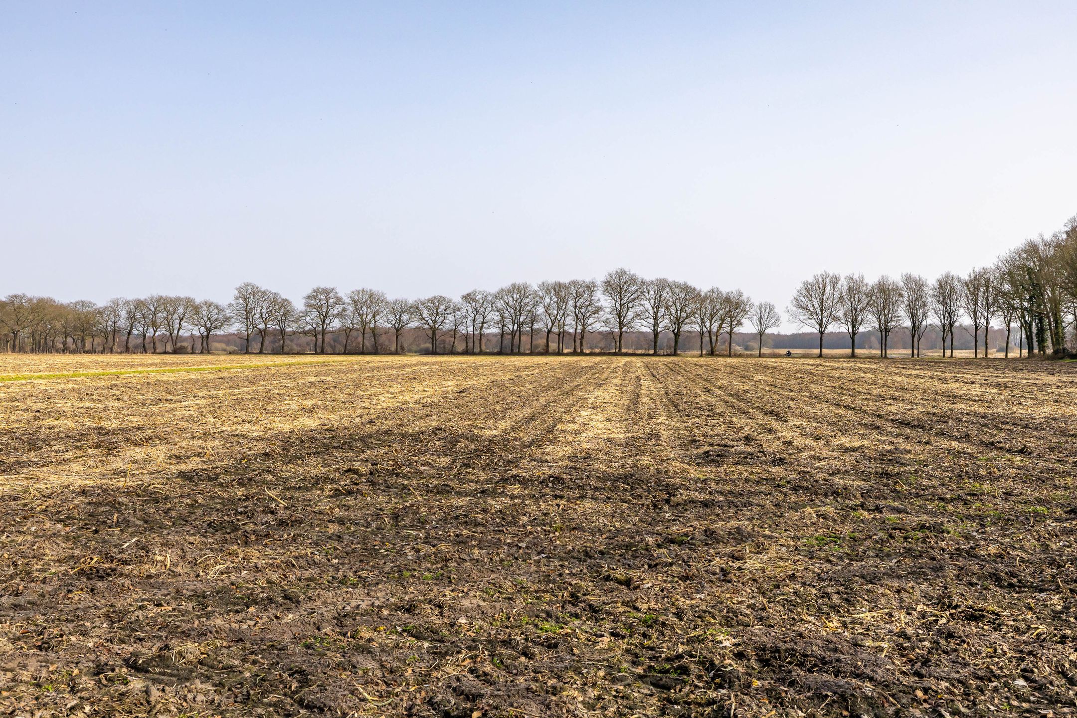 Foto 66 van Hoofdweg 206