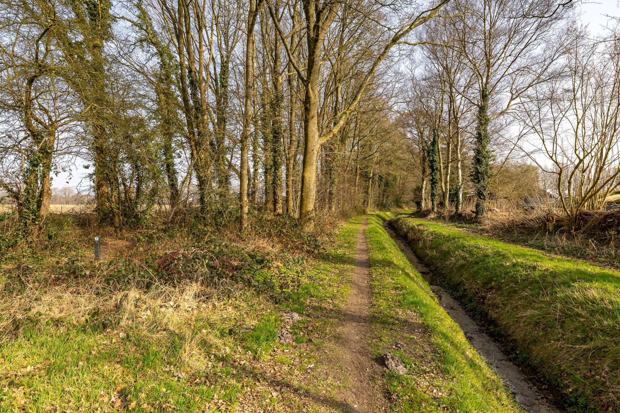 Foto 63 van Hoofdweg 206