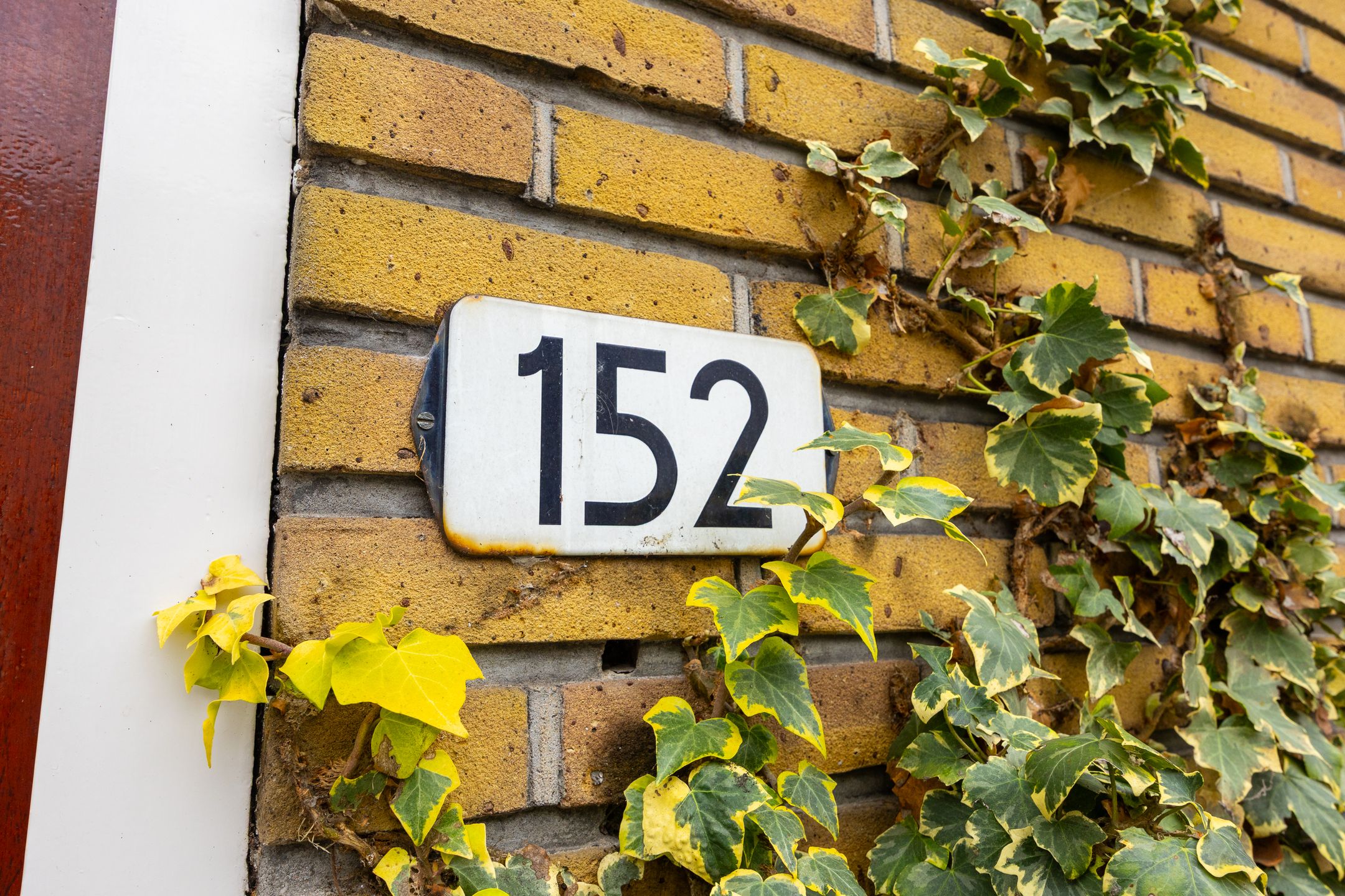 Photo 21 of Boerhaaveplein 152