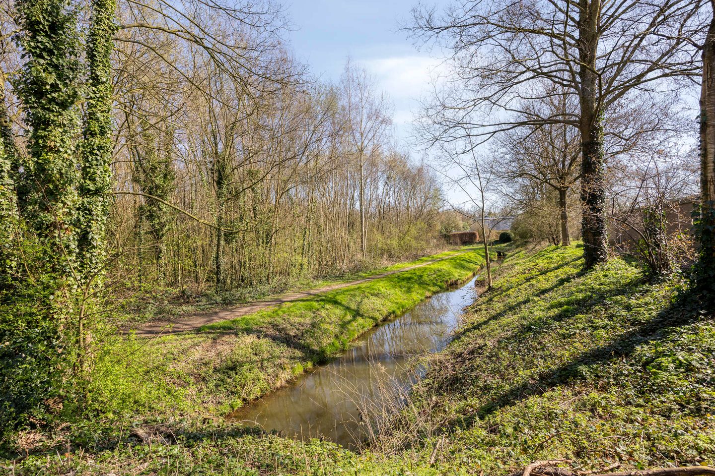 Foto 40 van Schopenhauerstraat 231