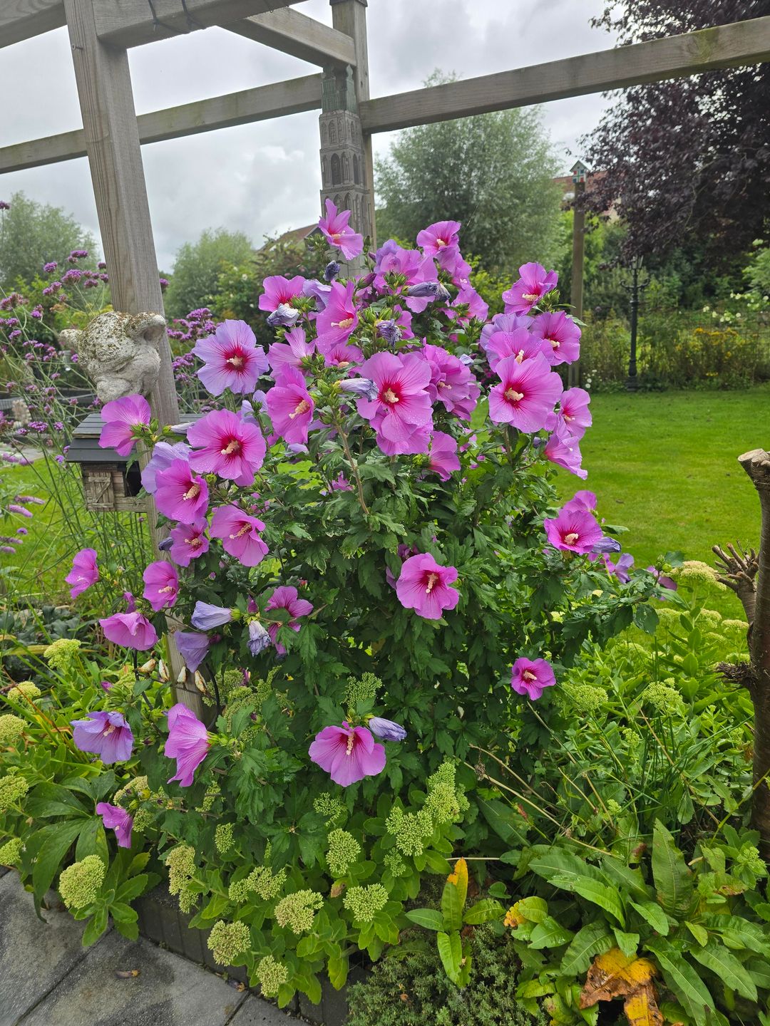 Foto 47 van Laan der Kruisheren 137