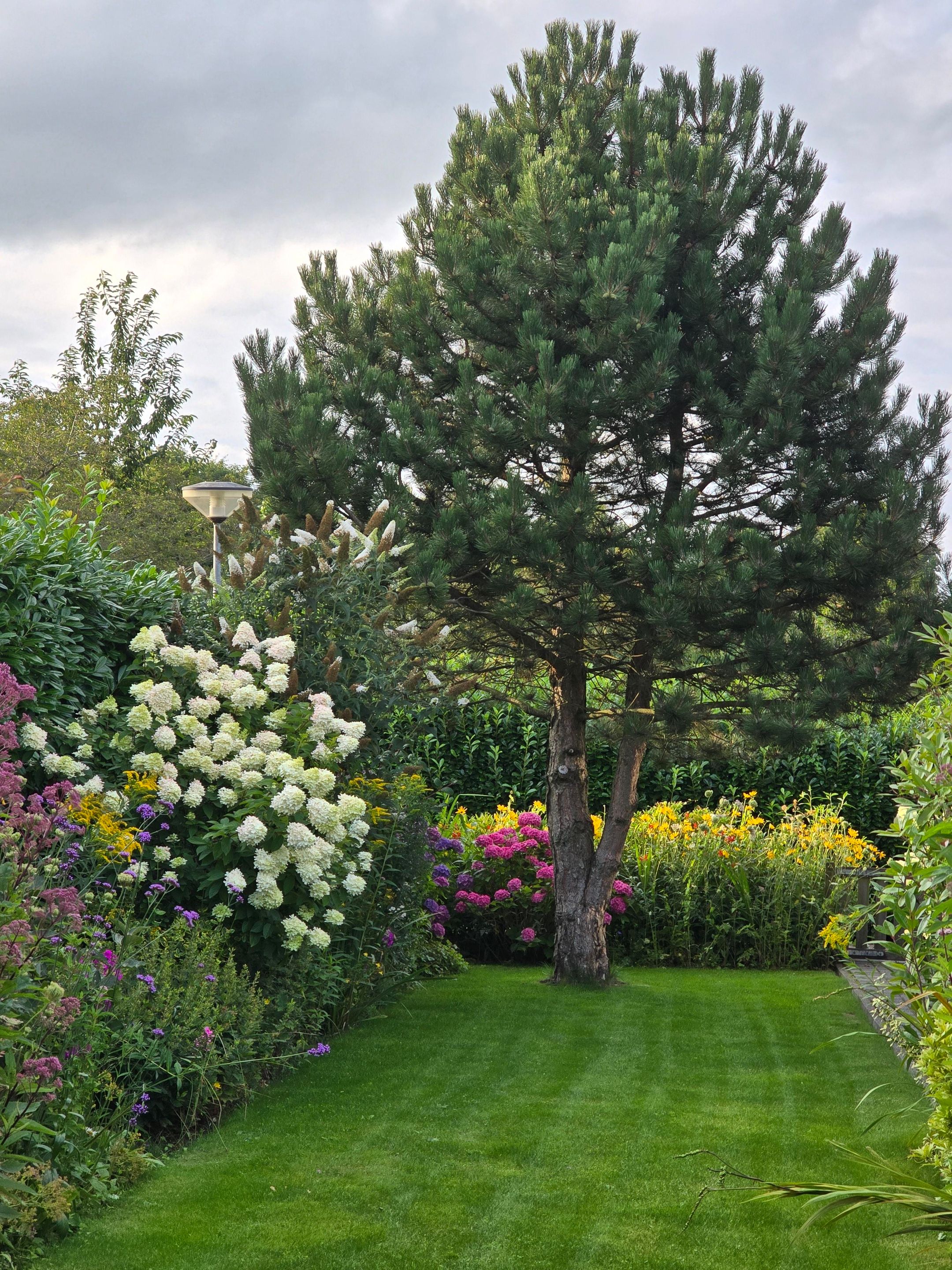 Foto 48 van Laan der Kruisheren 137