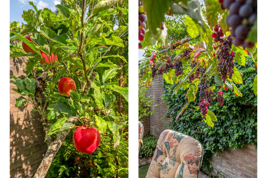 Foto 38 van De Loop 9