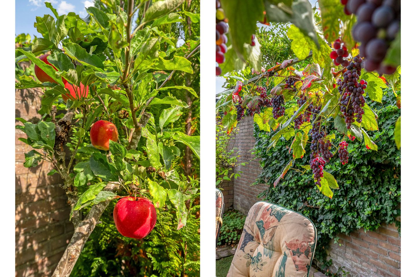 Foto 40 van De Loop 9