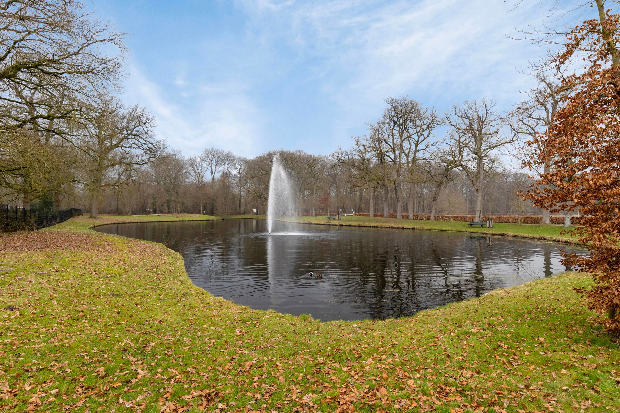 Foto 48 van Midwolderweg 17-B