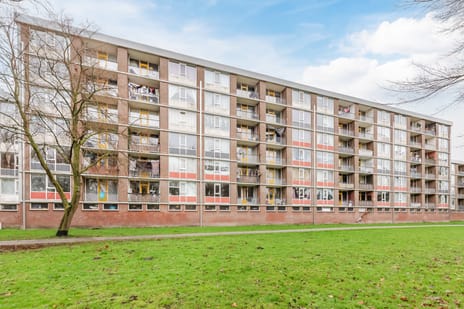 Kervelstraat thumbnail