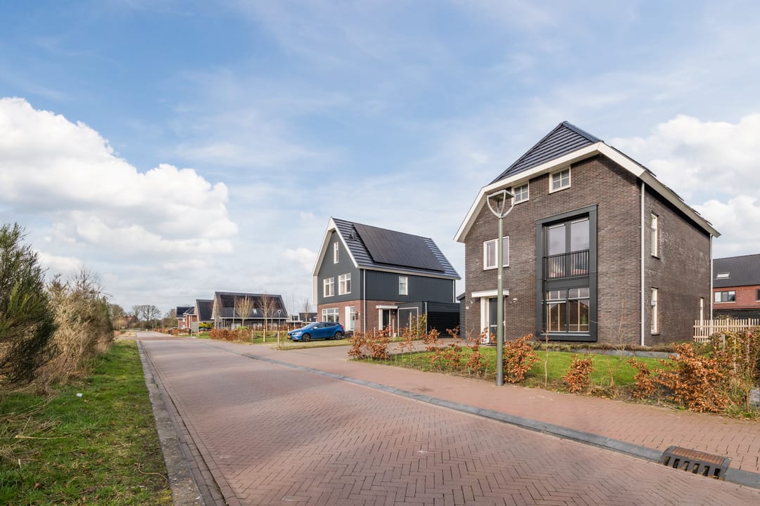 Foto 7 van Longkruid 41