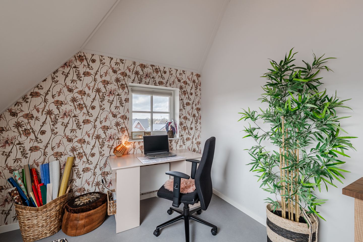 Foto 50 van Longkruid 41