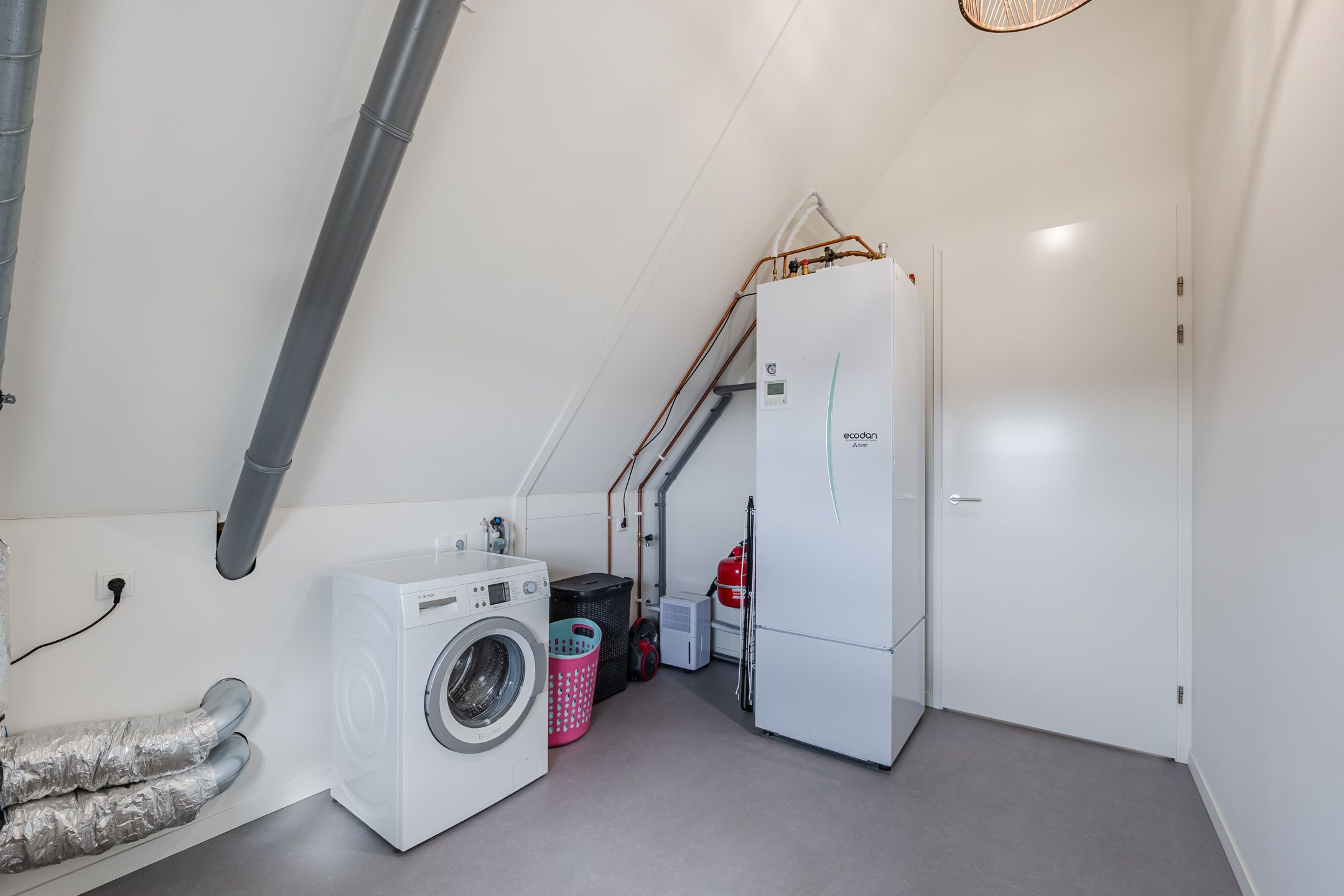 Foto 54 van Longkruid 41