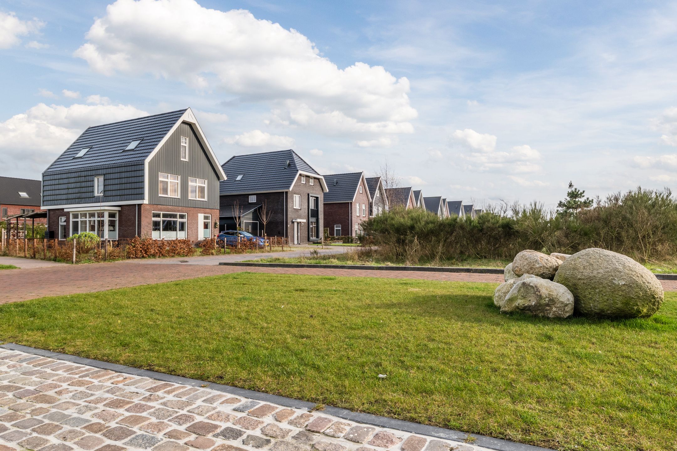 Foto 63 van Longkruid 41