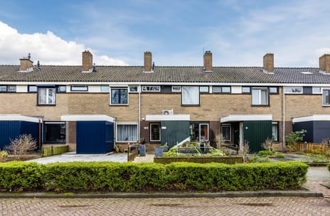 undefined main image