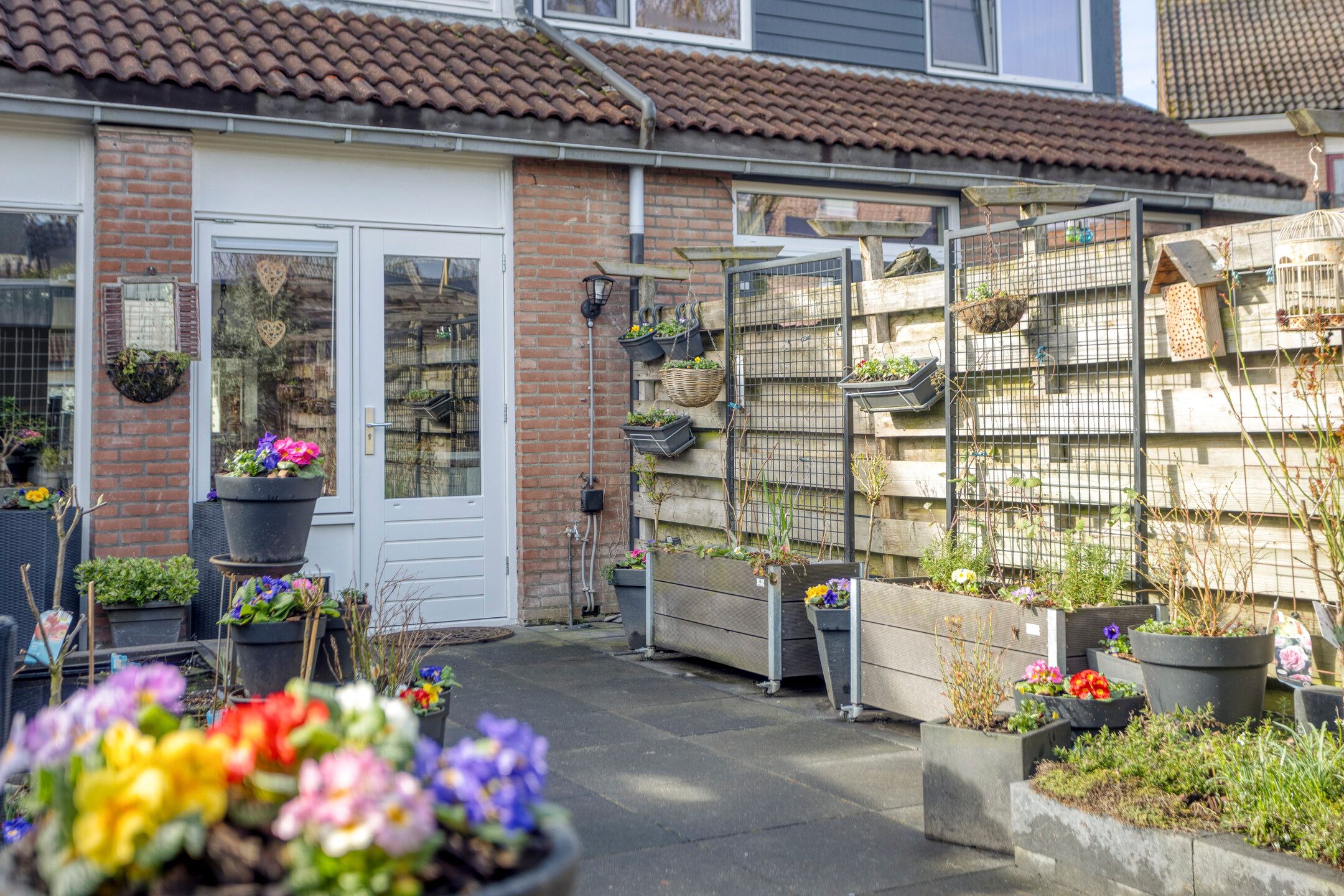 Foto 27 van Thomsonstraat 66