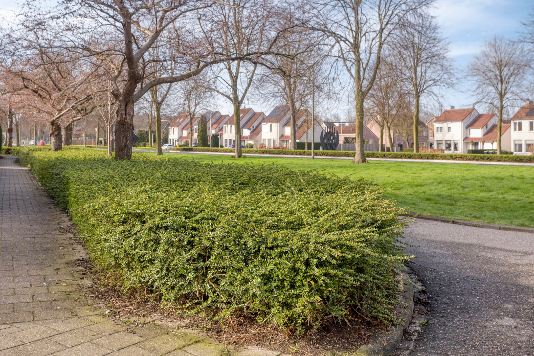 Foto 33 van Thomsonstraat 66