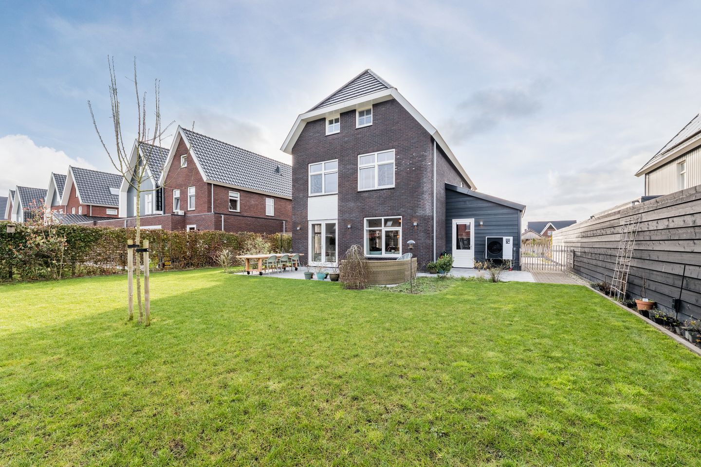 Foto 55 van Longkruid 41