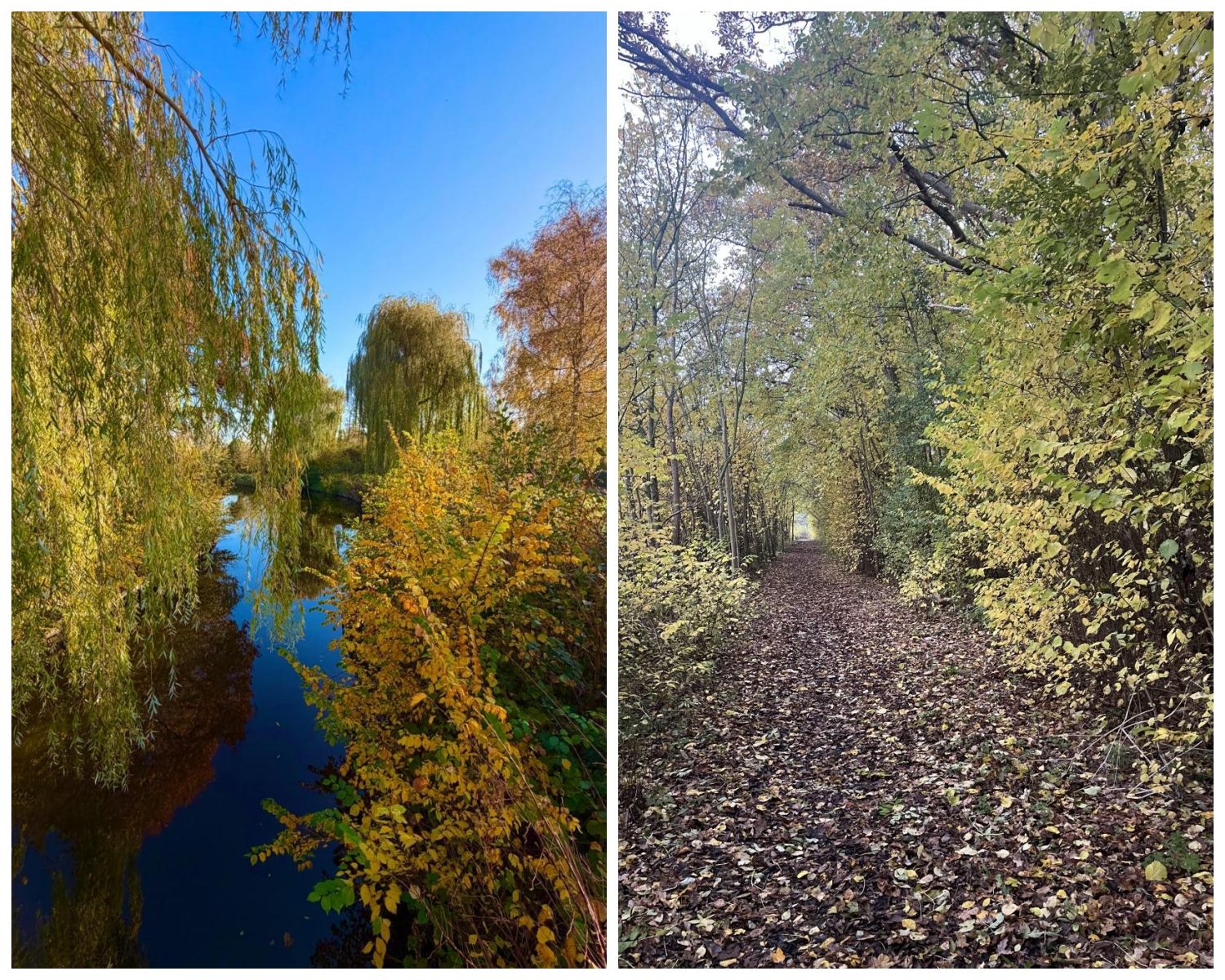 Foto 48 van Oostweg 2-0104