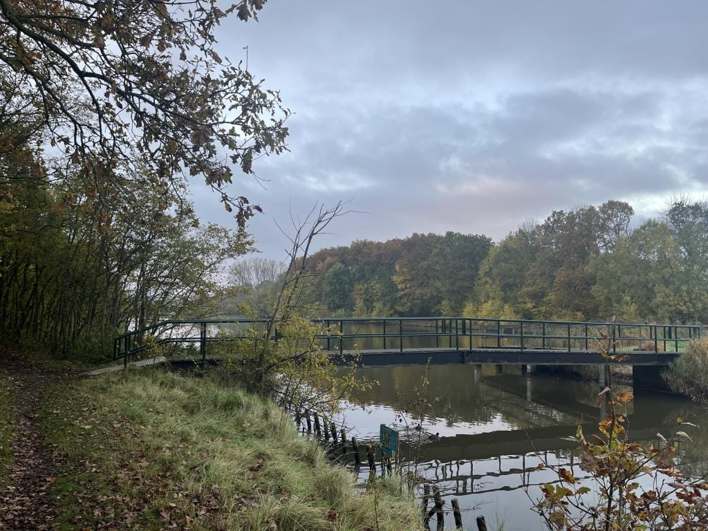 Foto 49 van Oostweg 2-0104