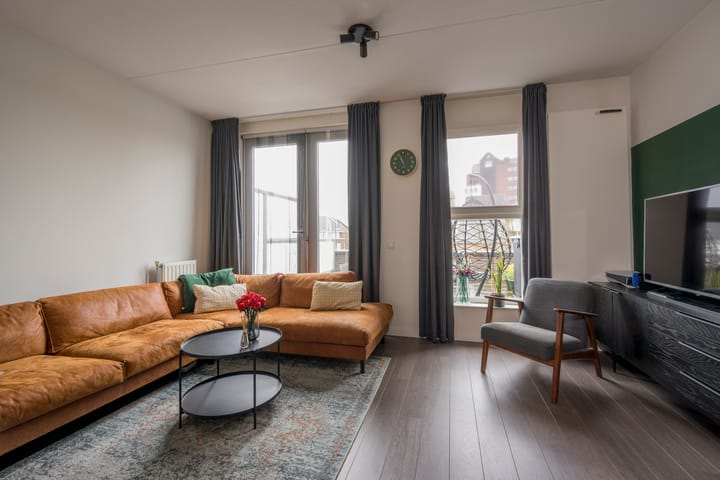 Foto 3 van Zijdevlinder 102