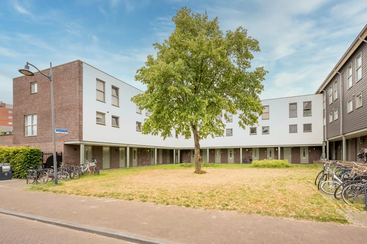 Foto 2 van Zijdevlinder 102