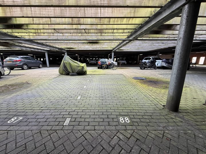 Photo 2 of President Allendelaan