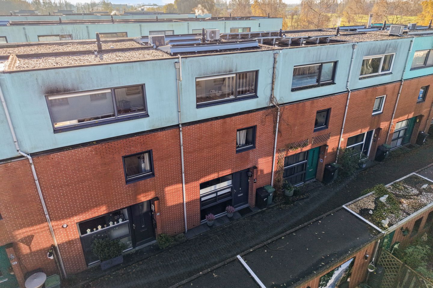 Foto 5 van Goudenregenzoom 119